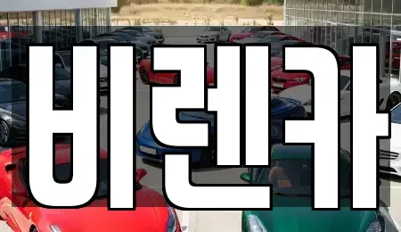 부산광역시 동래구 사직동 장기렌트카 전문 비렌카