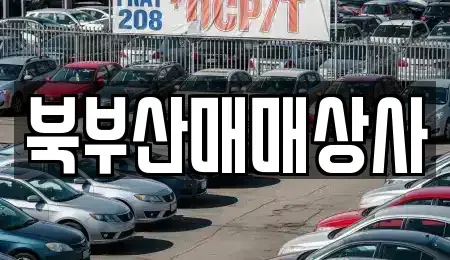 부산광역시 동래구 사직동 중고차매매,단기렌트카,중고차매입,장기렌트카,중고차,렌트카