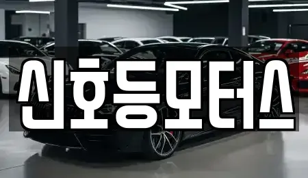 부산광역시 동래구 사직동 중고차매매 전문 신호등모터스