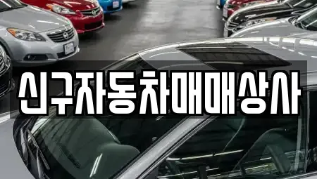 부산광역시 수영구 남천동 중고차매매 전문 신구자동차매매상사
