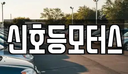 부산광역시 수영구 남천동 중고차매매 전문 신호등모터스