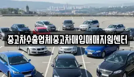 부산광역시 수영구 남천동 중고차매입 전문 중고차수출업체중고차매입매매지원센터