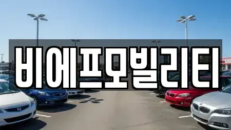 서울 강서구 마곡동 렌트카 전문 비에프모빌리티