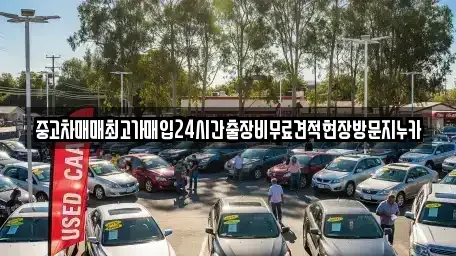 서울 강서구 마곡동 중고차매입 전문 중고차매매최고가매입24시간출장비무료견적현장방문지누카