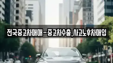 서울 광진구 중곡동 중고차 전문 전국중고차매매-중고차수출,사고노후차매입