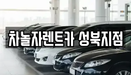 서울 성북구 동선동3가 렌트카,단기렌트카,장기렌트카,중고차,중고차매매,중고차매입