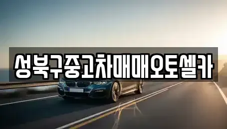 서울 성북구 동선동3가 중고차 전문 성북구중고차매매오토셀카