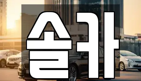 서울 성북구 동선동3가 중고차 전문 솔카