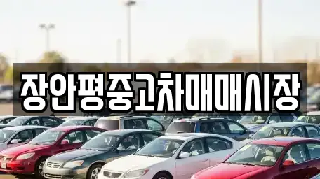 서울 성북구 동선동3가 중고차 전문 장안평중고차매매시장