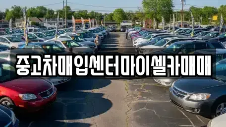 서울 성북구 동선동3가 중고차매입 전문 중고차매입센터마이셀카매매