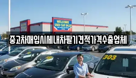 서울 성북구 동선동3가 중고차매입 전문 중고차매입시세내차팔기견적가격수출업체