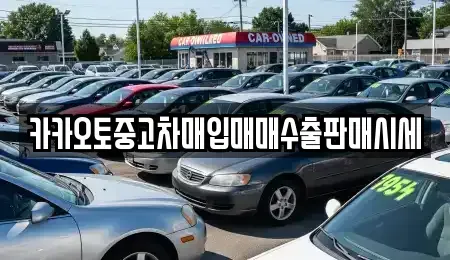 서울 성북구 동선동3가 중고차매입 전문 카카오토중고차매입매매수출판매시세
