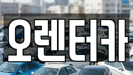 서울 성북구 안암동4가 렌트카 전문 오렌터카