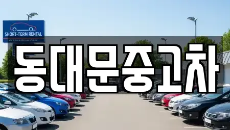 서울 성북구 안암동4가 중고차매매 전문 동대문중고차