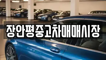 서울 성북구 안암동4가 중고차매매 전문 장안평중고차매매시장