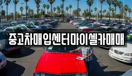 서울 성북구 안암동4가 중고차매입 전문 중고차매입센터마이셀카매매