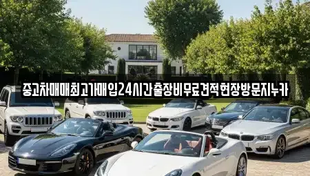 서울 용산구 도원동 중고차매입 전문 중고차매매최고가매입24시간출장비무료견적현장방문지누카