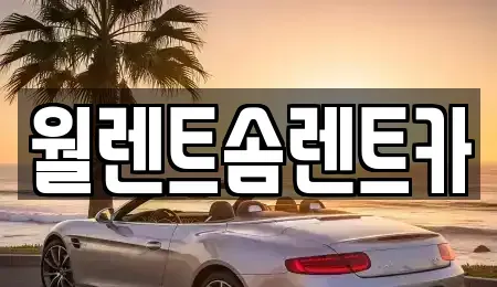 서울 은평구 역촌동 렌트카 전문 월렌트솜렌트카