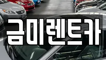 서울 종로구 무악동 렌트카 전문 금미렌트카