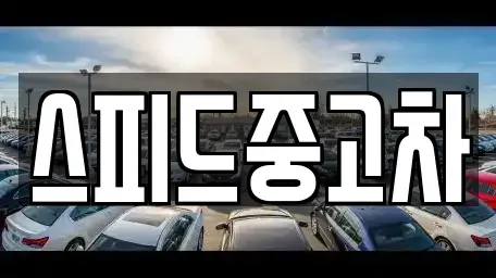 서울 종로구 무악동 중고차매매 전문 스피드중고차
