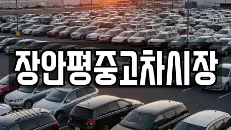 서울 종로구 무악동 중고차매매 전문 장안평중고차시장
