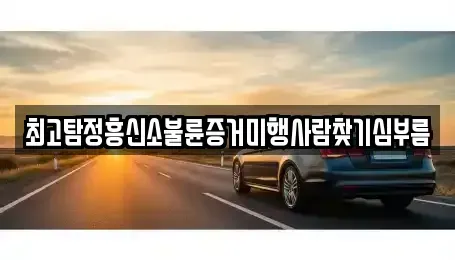 서울 종로구 무악동 중고차매입 전문 최고탐정흥신소불륜증거미행사람찾기심부름