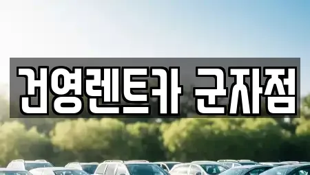 서울특별시 광진구 군자동 렌트카 전문 건영렌트카 군자점