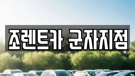 서울특별시 광진구 군자동 렌트카 전문 조렌트카 군자지점
