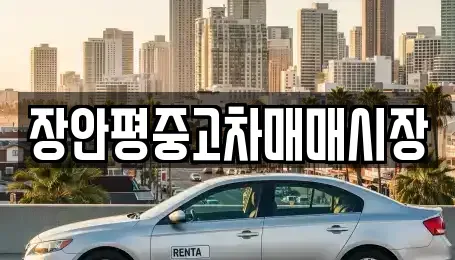 서울특별시 광진구 군자동 중고차매매,단기렌트카,중고차매입,장기렌트카,중고차,렌트카