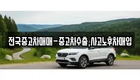 서울특별시 광진구 군자동 중고차매매 전문 전국중고차매매-중고차수출,사고노후차매입