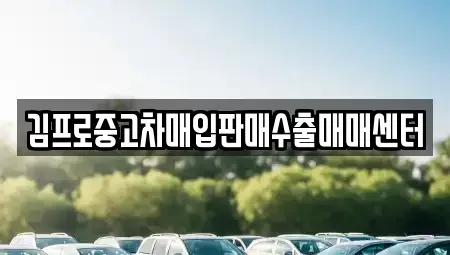 서울특별시 광진구 군자동 중고차매입 전문 김프로중고차매입판매수출매매센터