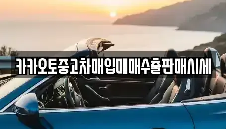 서울특별시 마포구 토정동 중고차 전문 카카오토중고차매입매매수출판매시세