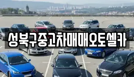 서울특별시 성북구 동소문동3가 중고차매매 전문 성북구중고차매매오토셀카