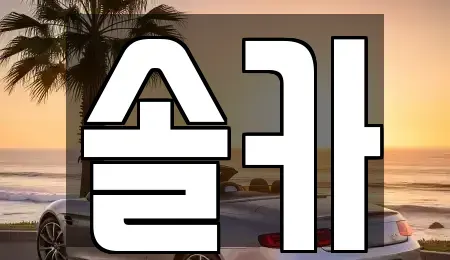 서울특별시 성북구 동소문동3가 중고차매매 전문 솔카