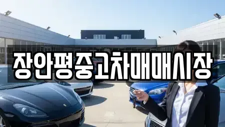 서울특별시 성북구 동소문동3가 중고차매매 전문 장안평중고차매매시장