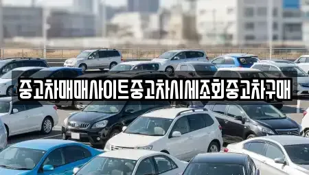 서울특별시 성북구 동소문동3가 중고차매매 전문 중고차매매사이트중고차시세조회중고차구매