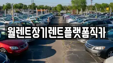 서울특별시 종로구 청운동 장기렌트카 전문 월렌트장기렌트플랫폼직카