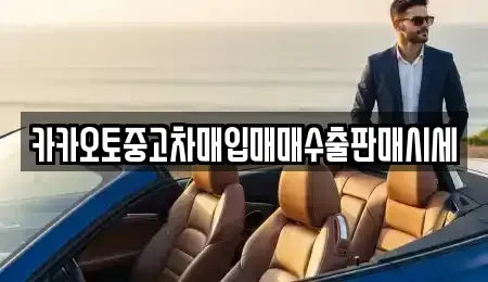 서울특별시 종로구 청운동 중고차매매 전문 카카오토중고차매입매매수출판매시세