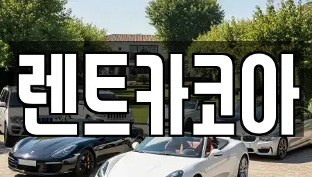 서울특별시 중구 입정동 렌트카 전문 렌트카코아