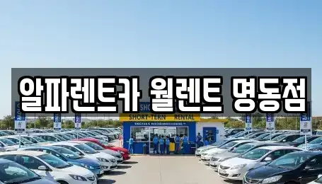 서울특별시 중구 입정동 렌트카 전문 알파렌트카 월렌트 명동점