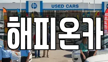 서울특별시 중구 입정동 중고차 전문 해피온카