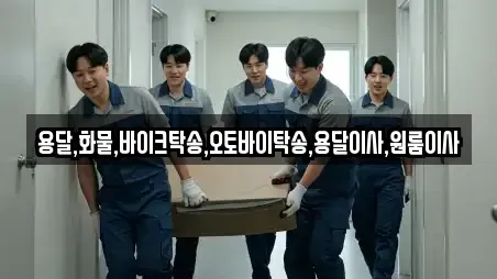 용달,화물,바이크탁송,오토바이탁송,용달이사,원룸이사