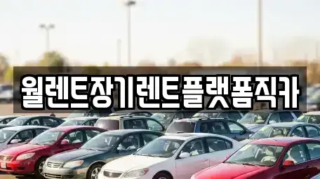 인천 계양구 방축동 장기렌트카 전문 월렌트장기렌트플랫폼직카