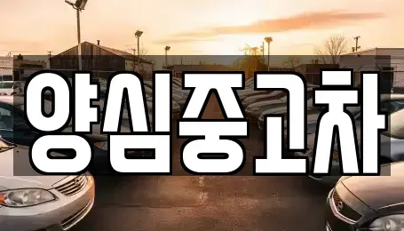 인천 계양구 평동 중고차 전문 양심중고차