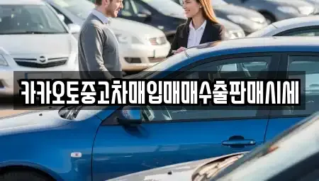 인천 옹진군 영흥면 중고차매입 전문 카카오토중고차매입매매수출판매시세