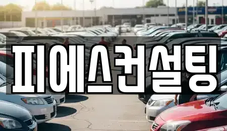 인천 중구 신흥동3가 렌트카 전문 피에스컨설팅