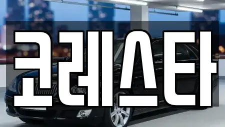 인천 중구 신흥동3가 중고차 전문 코레스타