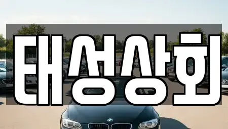 인천 중구 신흥동3가 중고차 전문 태성상회