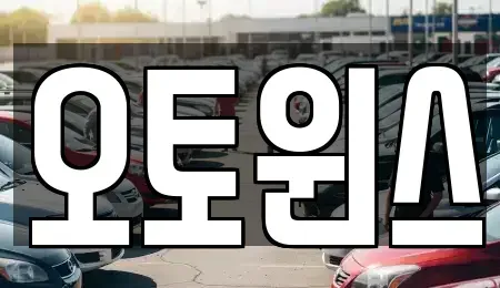 인천 중구 신흥동3가 중고차매매 전문 오토윈스