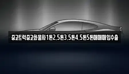 인천 중구 신흥동3가 중고차매매 전문 중고트럭중고화물차1톤2.5톤3.5톤4.5톤5톤매매매입수출